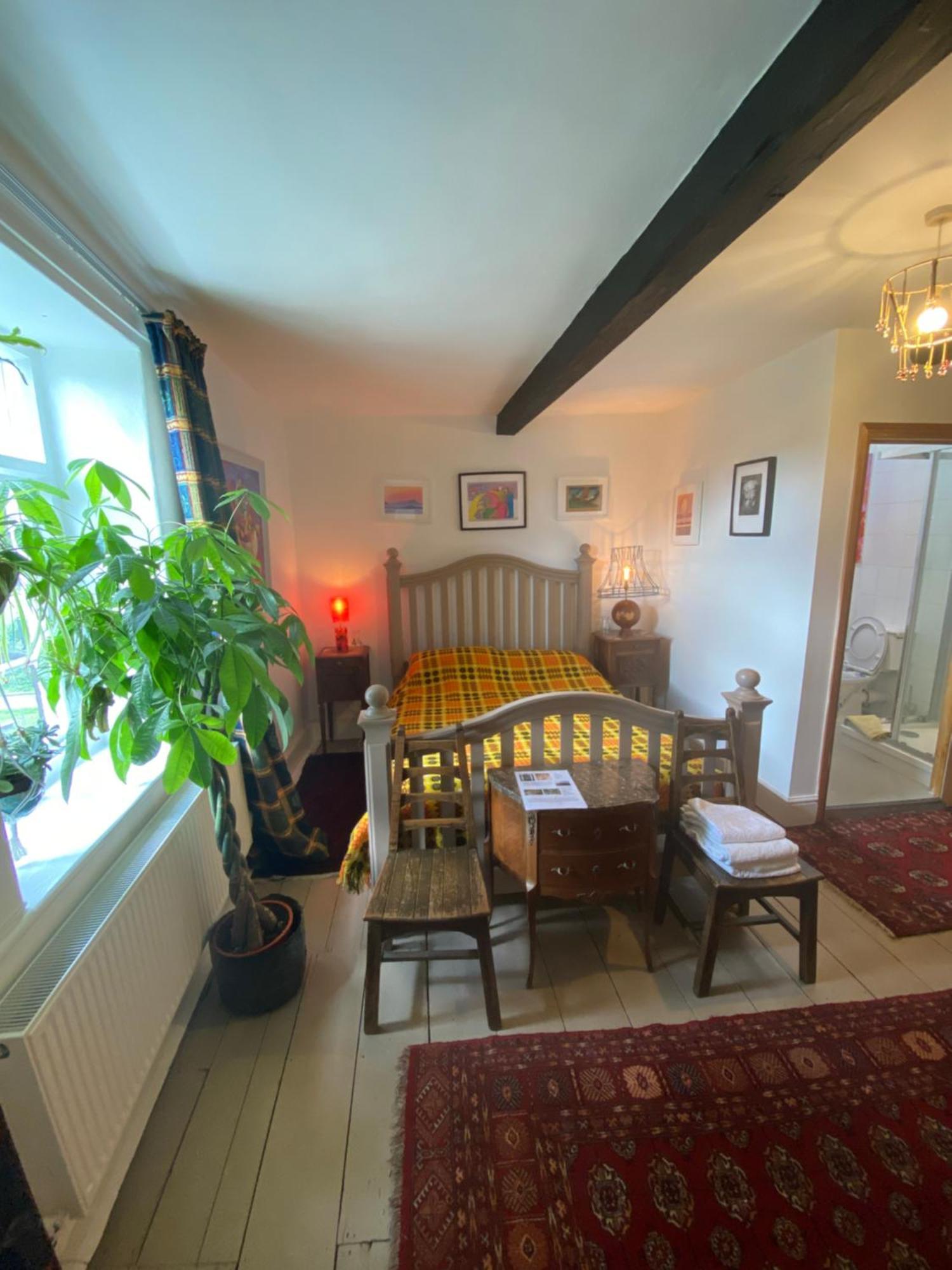 Art House B & B Raglan Kamer foto