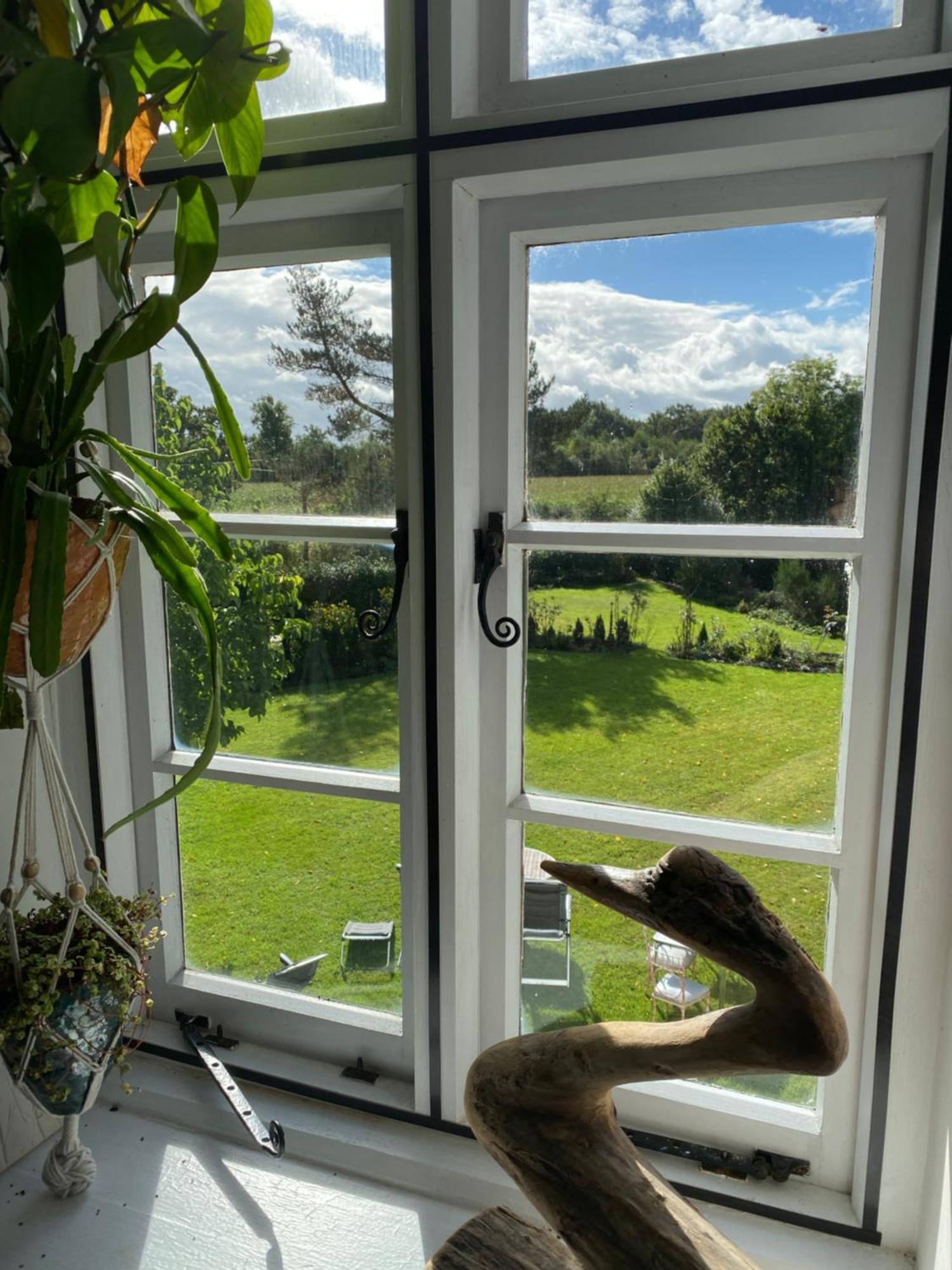 Art House B & B Raglan Kamer foto